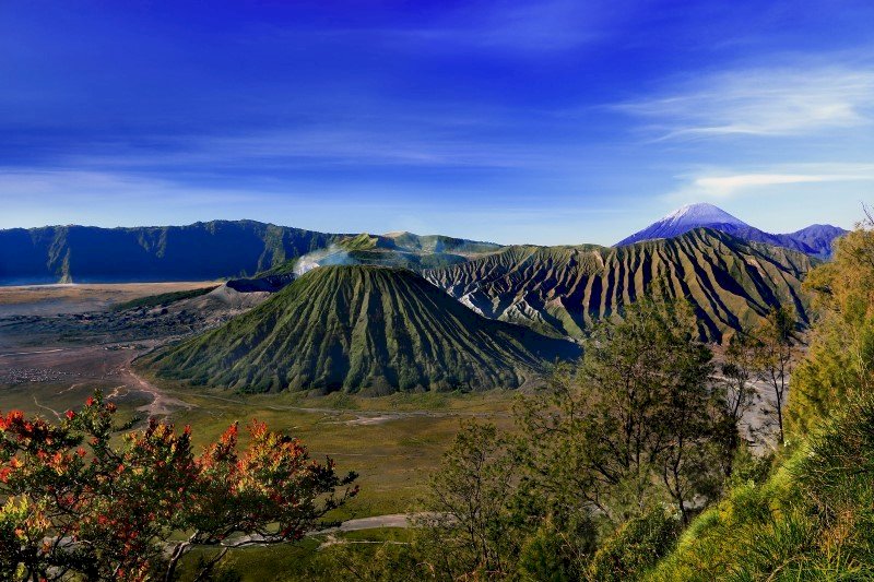 Bromo Tour Package Which Is The Best Savannah In East Java