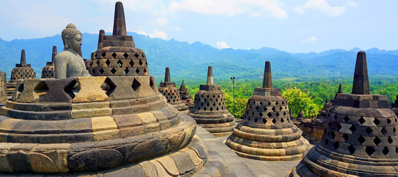 Java Paradise Tour Background